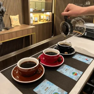 AROMME CATA DE CAFÉS EXCLUSIVOS